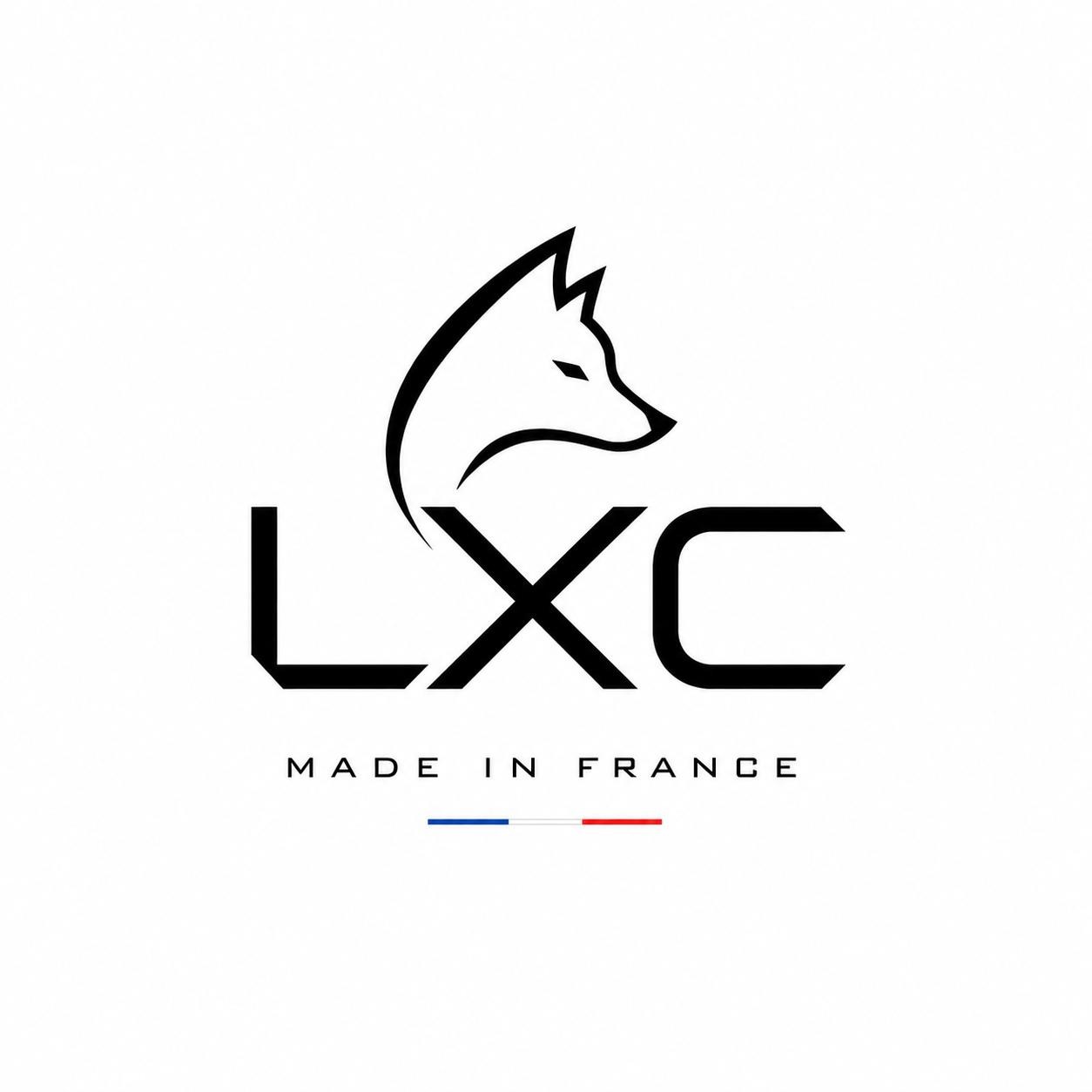 Logo Lixcore